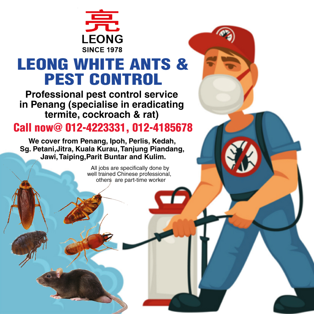 BeliLokal by The Star