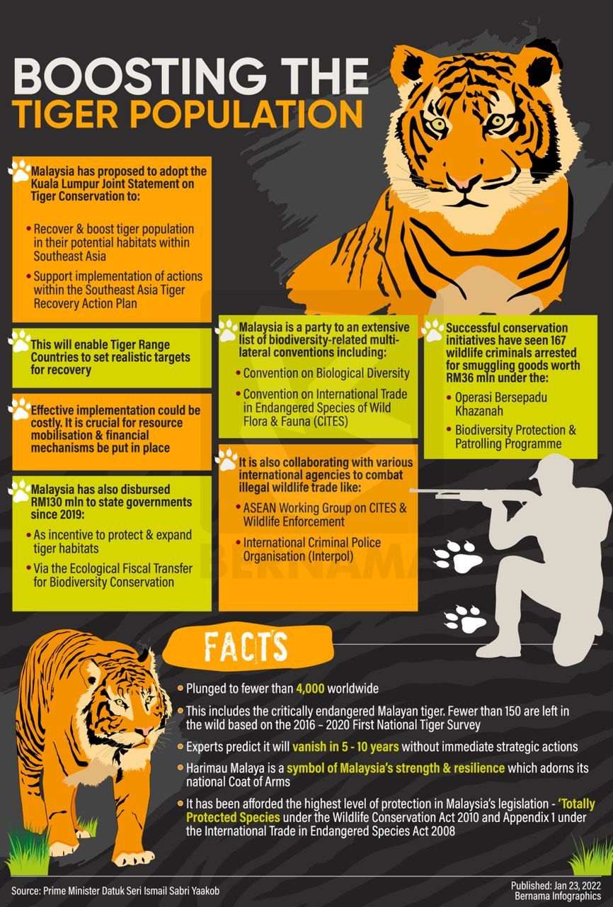 Malaysia proposes adoption of 13-point KL joint statement for tiger ...