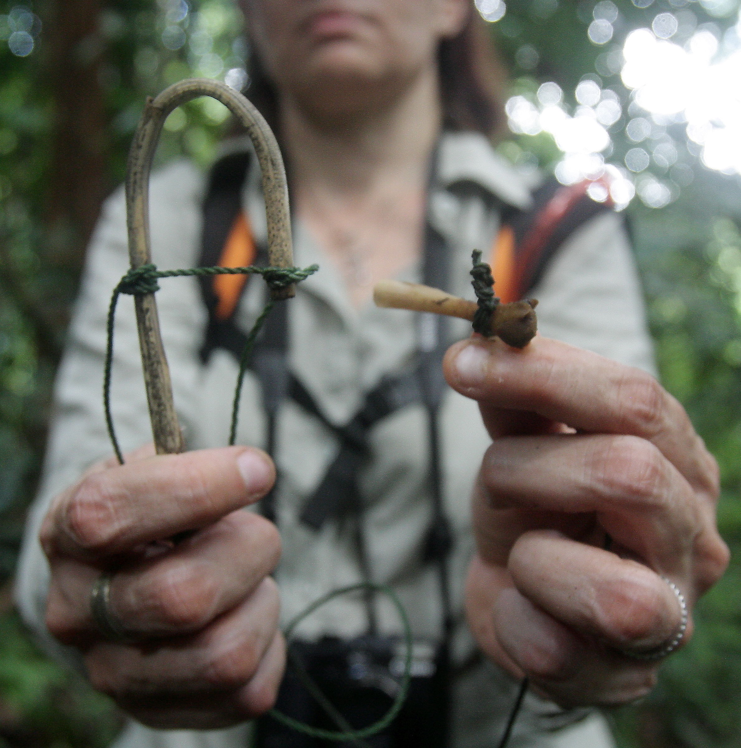Perhilitan DG's plans for protecting Malaysian wildlife